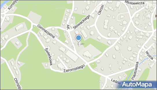 Taksówka Osobowa nr 9 Waldemar Lipiński, Armii Krajowej 9 58-540 - Przedsiębiorstwo, Firma, NIP: 6111043487