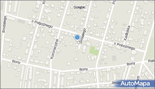 5221672539, Taksówka Osobowa, Dzigda Bogumił 
