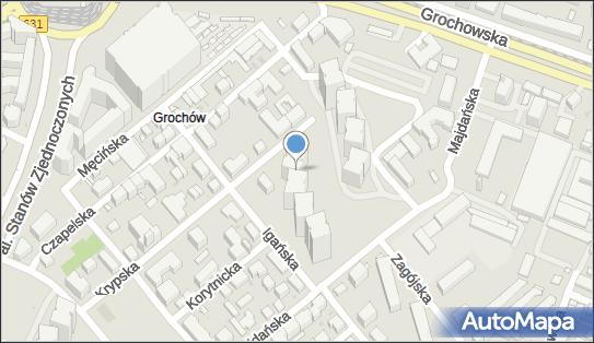 1130155428, Taksówka Osobowa Waldemar Wisznicki 