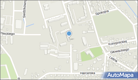 210450901, Taksówka Osobowa, Henryk Tatałaj 