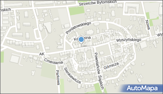 Tama Teresa Widuch, Armii Krajowej 12, Pyskowice 44-120 - Przedsiębiorstwo, Firma, NIP: 9690086922