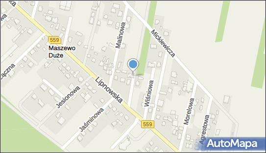 Tap Cor Pesta Andrzej Pesta Tadeusz, Płock 09-409 - Przedsiębiorstwo, Firma, numer telefonu, NIP: 7742255058