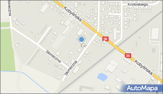 Tax Project Tomasz Skrzypczak, Słoneczna 4a, Krotoszyn 63-700 - Przedsiębiorstwo, Firma, NIP: 6211757080