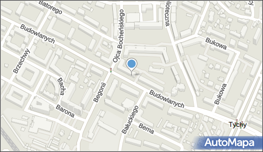 Taxi Agnieszka Pędzich-Białczak, Budowlanych 32, Tychy 43-100 - Przedsiębiorstwo, Firma, NIP: 6462774058