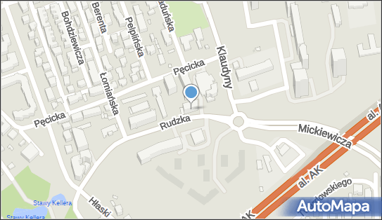 1181313050, Taxi Bagażowe, Buzuk Krzysztof 