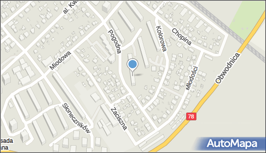 6451014504, w.z.U.H.Dubex - Janusz Dubas Taxi Dakar 