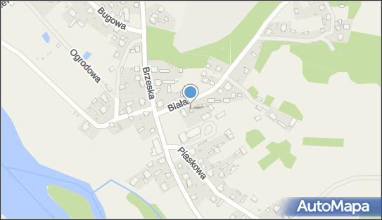 5441517806, Taxi Mateusz Dmitruk 