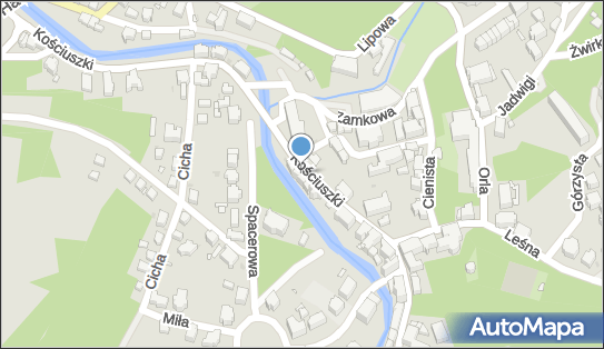 Taxi Osobowe Jerzy Kuś, ul. Tadeusza Kościuszki 32, Lądek-Zdrój 57-540 - Przedsiębiorstwo, Firma, NIP: 8811224329