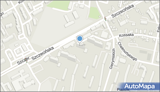 8391076217, Taxi Osobowe nr 160 - Dariusz Stachowicz 