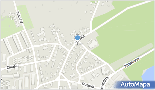 5831946395, Taxi Osobowe nr 1689 Ciszewski Zbigniew 