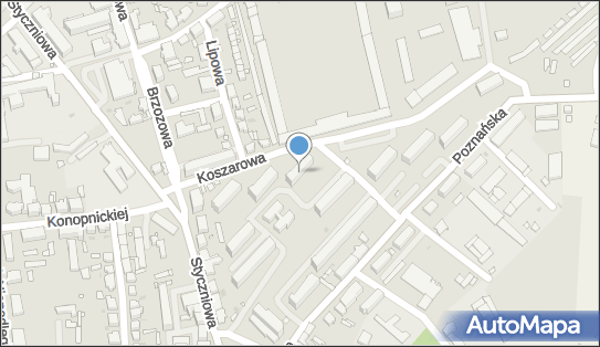 Taxi Osobowe nr 24, os. Zacisze 6B, Sulechów 66-100 - Przedsiębiorstwo, Firma, NIP: 9271049750