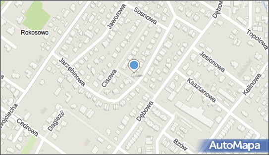 6692174385, Taxi Osobowe nr 507 Stachniuk Dariusz 