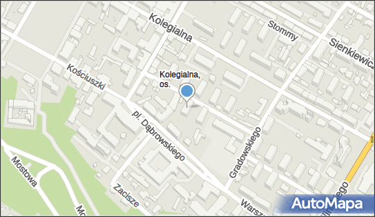 611025228, Taxi Osobowe nr Boczny 117 Rek Cezary 