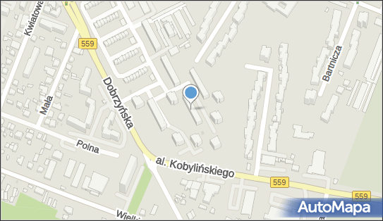 7742055106, Taxi Osobowe nr Boczny 160 Dembiński Maciej 