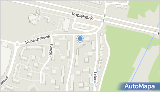 5422433876, Taxi Osobowe Polak Piotr Bolesław 