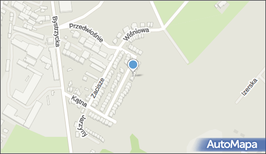 Taxi Osobowe Tadeusz Wittig, Kątna 52, Świdnica 58-100 - Przedsiębiorstwo, Firma, NIP: 8841252632