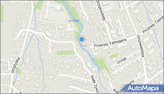 363034905, Taxi Osobowe Władysław Urbaś 