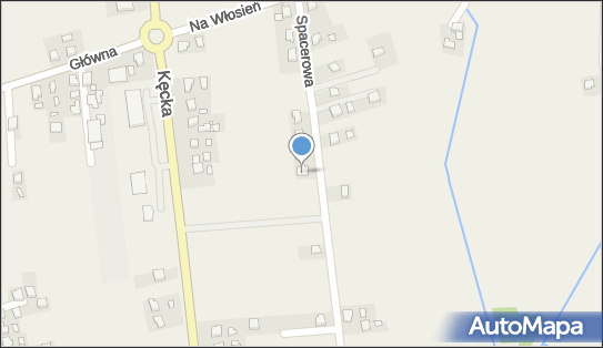 5491469541, Kilon Lech Taxi Osobowe 