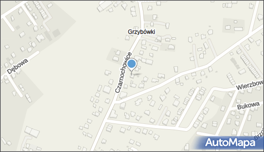 6831078723, Taxi Osobowe Krzysztof Przepolski 