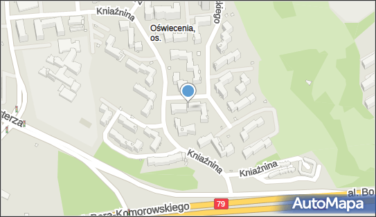 350966378, Taxi Osobowe Jan Wojtasik 