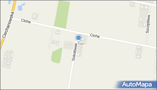 5661264566, Taxi Osobowe, Waryszewski Grzegorz 