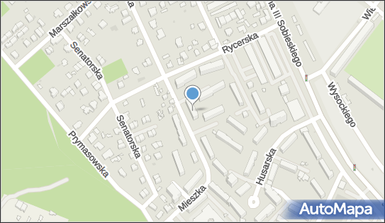5361055634, Taxi Osobowe, Rykaczewski Artur 