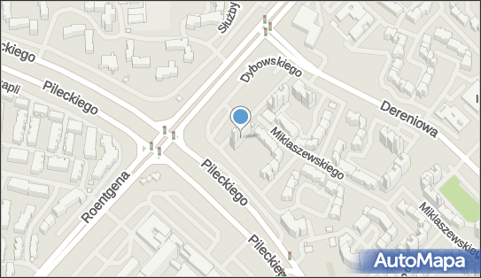 Taxi Osobowe, ul. Benedykta Dybowskiego 7, Warszawa 02-776 - Przedsiębiorstwo, Firma, NIP: 9511010174