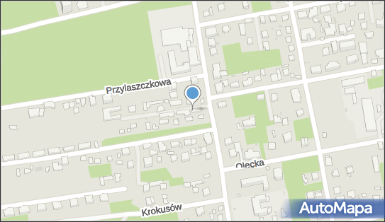 9521191763, Taxi Osobowe Krzysztof Gawłowski; Trans-Prestige Krzysztof Gawłowski Wspólnik Spółki Cywilnej 