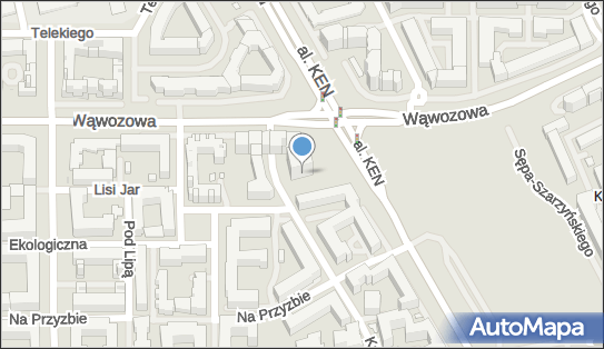 9511176762, Kowalski Zbigniew Taxi Osobowe 