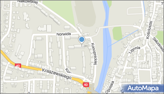 Taxi Osobowe, ul. Konopnickiej 19, Głuchołazy 48-340 - Przedsiębiorstwo, Firma, NIP: 7551013775