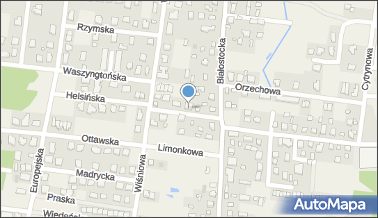050407369, Taxi Osobowe Ignatowski Leszek 