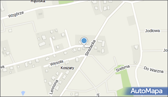 Taxi Osobowe, ul. Spacerowa 1, Rębiska 84-208 - Przedsiębiorstwo, Firma, NIP: 5861054508