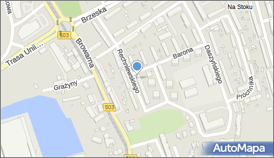 Taxi Osobowe, ul. Tadeusza Rechniewskiego 8, Elbląg 82-300 - Przedsiębiorstwo, Firma, NIP: 5781023003
