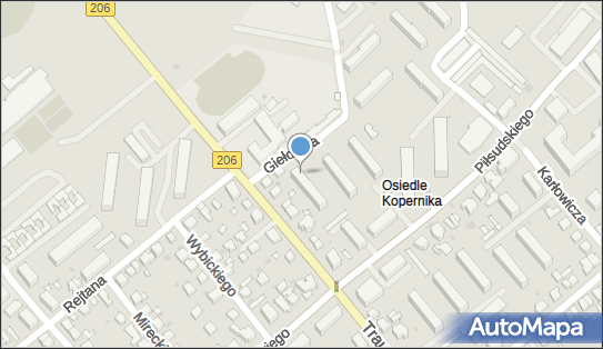 320534248, Taxi Osobowe Lech Wierzbicki 