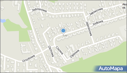 363868881, Taxi Osobowe Witold Pellowski 