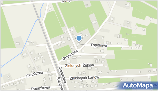 5241135419, Taxi Maciej Borkowski 
