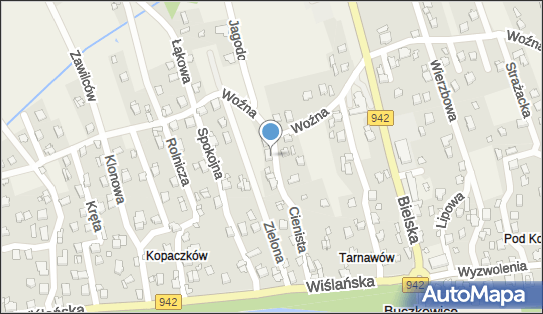 9371199472, Taxi Antosz Wiesław 