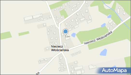 TB Trans Tomasz Bielarski, Nieciecz Włościańska 51 08-331 - Przedsiębiorstwo, Firma, NIP: 8231555009