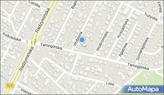 TCH SERVICE TOMASZ CHOJNOWSKI, Poleska 3, Warszawa 03-506 - Przedsiębiorstwo, Firma, godziny otwarcia, numer telefonu