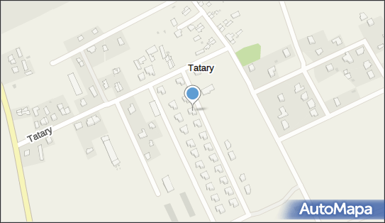 Technical Trans Poland, Tatary 74, Tatary 13-100 - Przedsiębiorstwo, Firma, numer telefonu, NIP: 9840206010