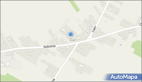 6090031696, Telekom-Oleszno sp. z o.o. 