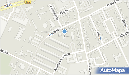 Tempus Danuta Dec, Podleśna 17, Stalowa Wola 37-450 - Przedsiębiorstwo, Firma, NIP: 8651107996