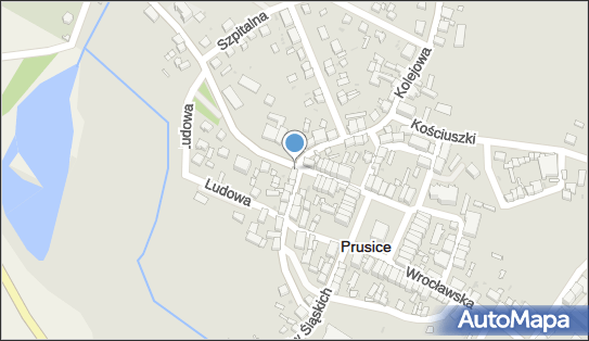 Teresa Cybulska, ul. Żmigrodzka 18, Prusice 55-110 - Przedsiębiorstwo, Firma, NIP: 9151172488