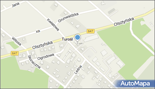 2910032216, Teresa Grudzińska „Koral