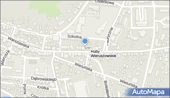 Teresa Jeziorna - Działalność Gospodarcza, Warszawska 63 98-400 - Przedsiębiorstwo, Firma, NIP: 6191744446