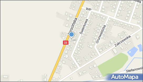 Teresa Kaczmarek, Jarocińska 21, Golina 63-200 - Przedsiębiorstwo, Firma, NIP: 6171586062