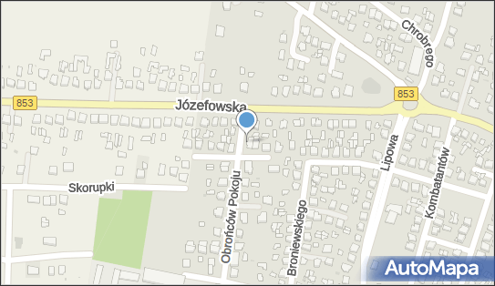 Teresa Ostasz - Działalność Gospodarcza, Obrońców Pokoju 1 22-600 - Przedsiębiorstwo, Firma, NIP: 9211276011