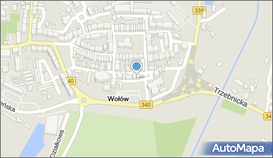 Teresa Pamin STB, Browarna 5, Wołów 56-100 - Przedsiębiorstwo, Firma, NIP: 8981364992