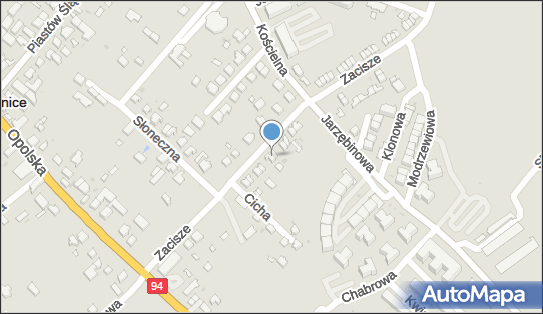 Terlecki P., Siechnice, Zacisze 18, Siechnice 55-011 - Przedsiębiorstwo, Firma, NIP: 9121148835