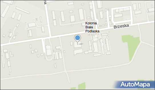 Theta, ul. Brzeska 111, Biała Podlaska 21-500 - Przedsiębiorstwo, Firma, NIP: 1250186383